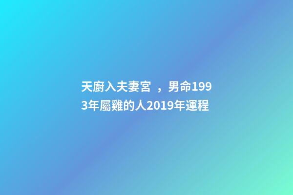 天廚入夫妻宮，男命1993年屬雞的人2019年運程